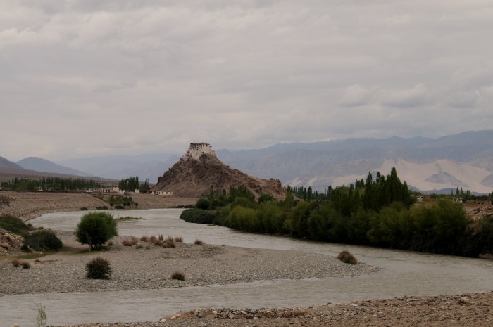 LAD_007_Hemis