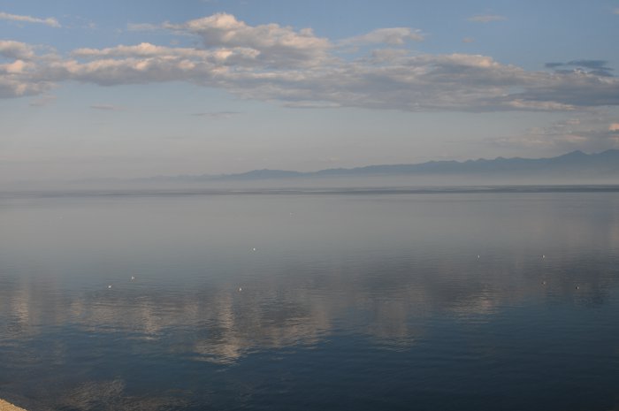 DSC_0954