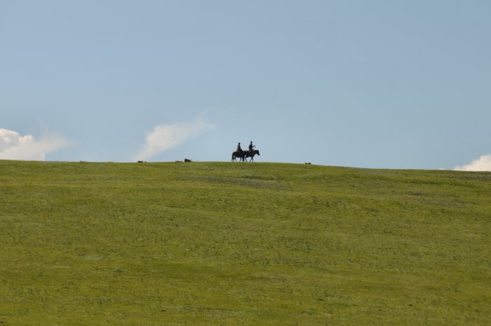 DSC_1137