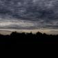 BDX_2093